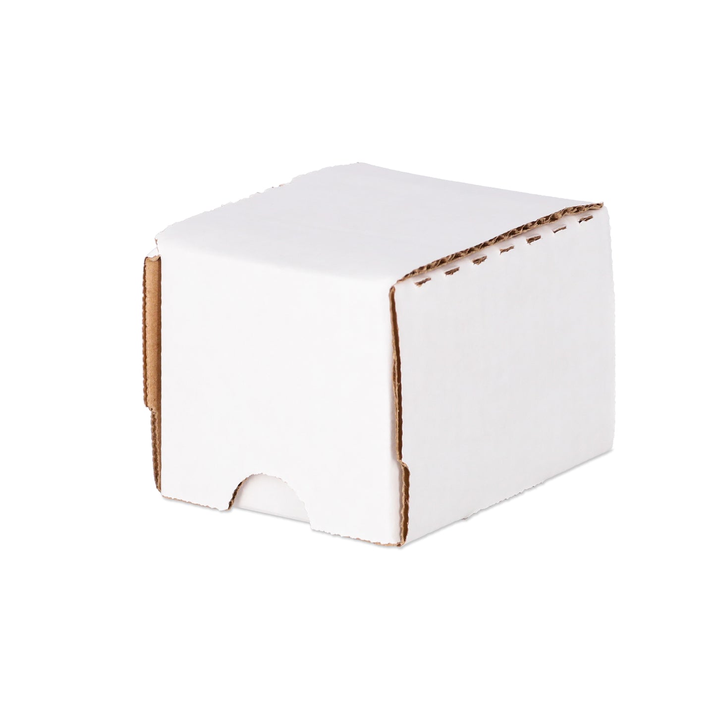 100 COUNT STORAGE BOX (50-PACK)