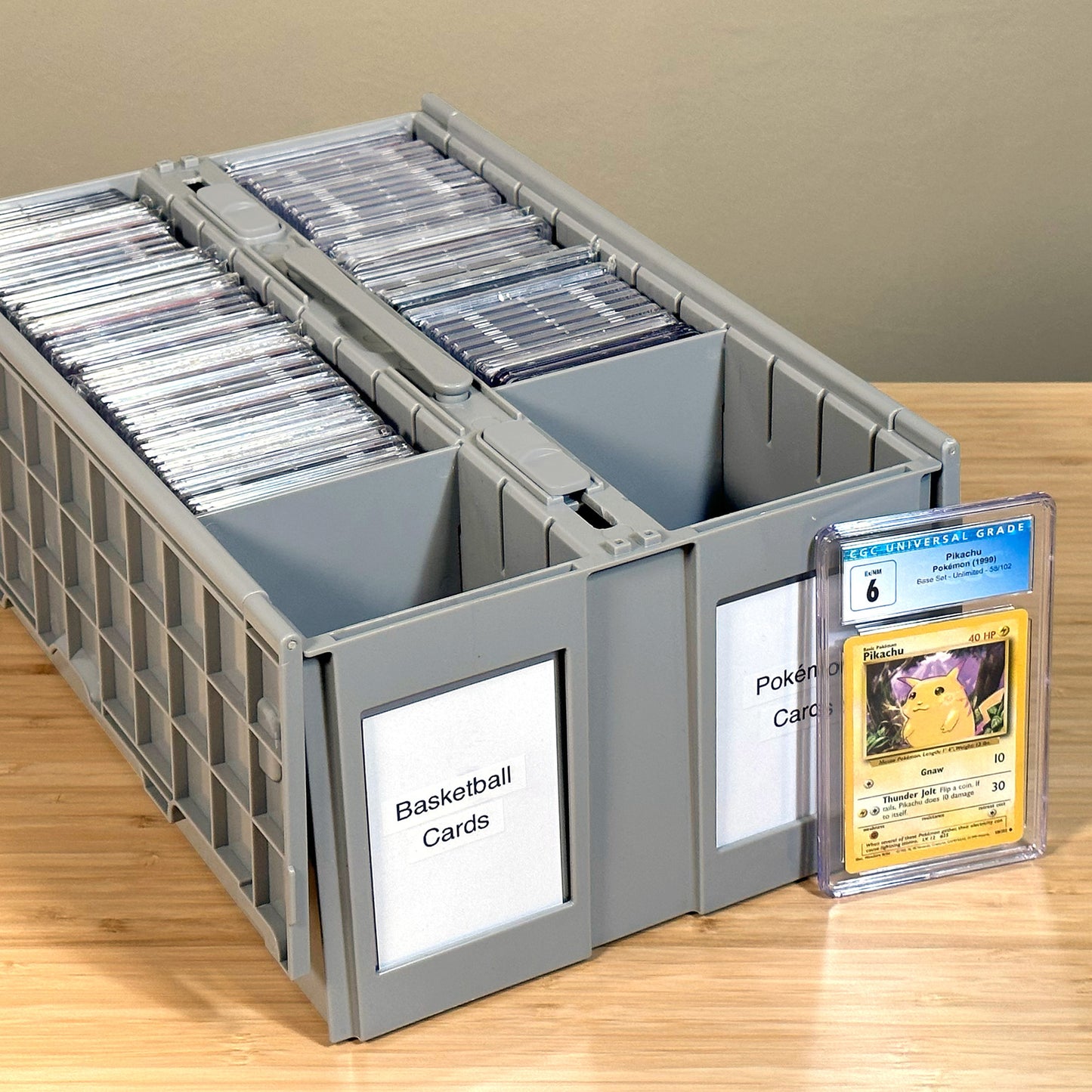 TWO ROW GRADED CARD BIN
