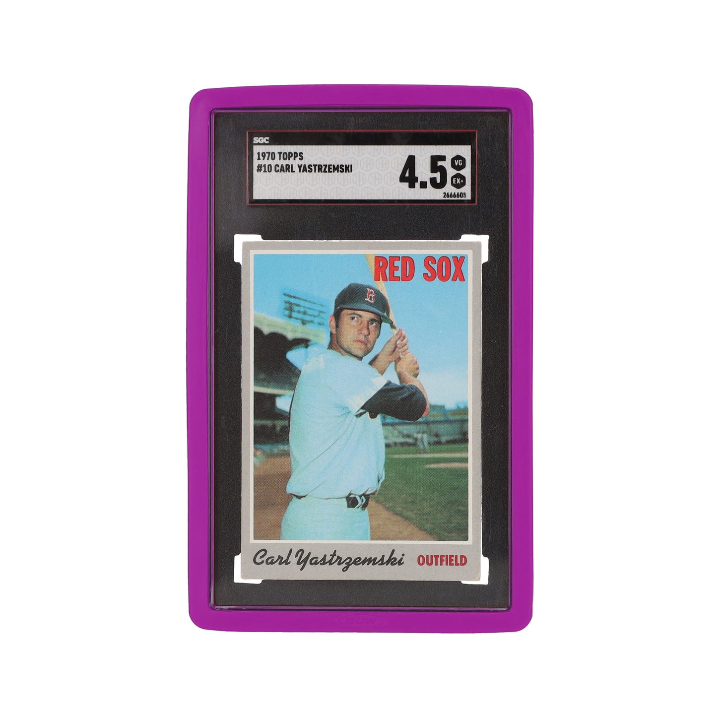 GRADED SGC SLAB BUMPER (6-PACK)
