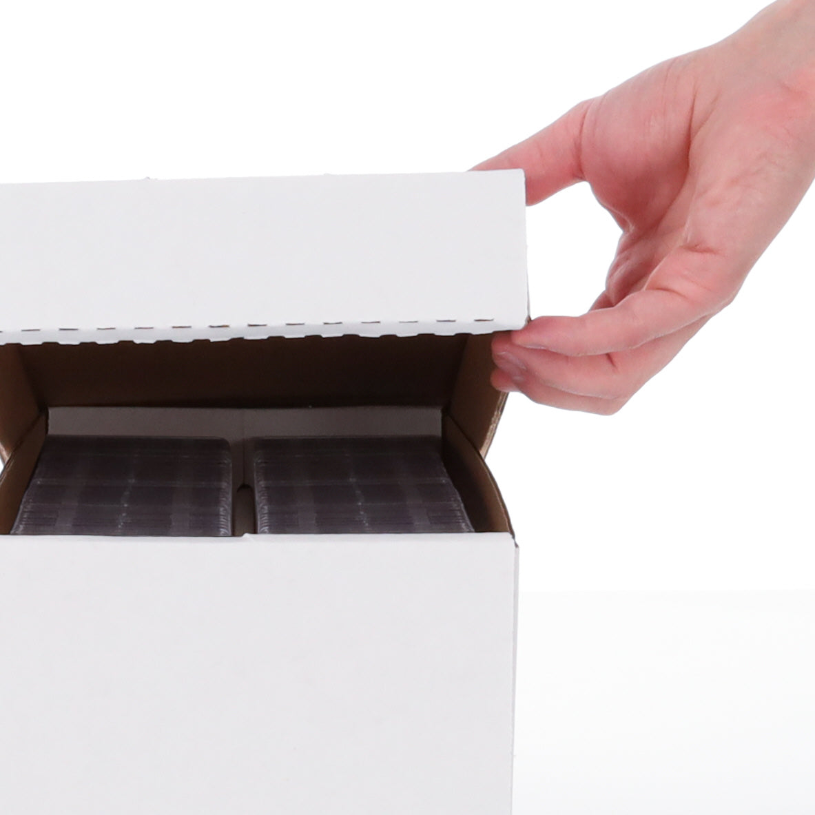 GRADED SHOE BOX (25-PACK)