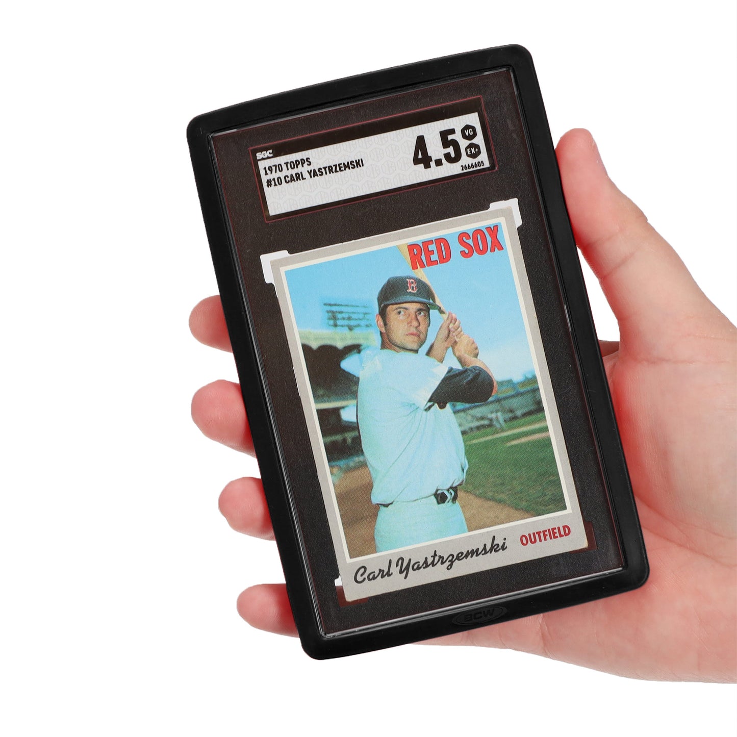 GRADED SGC SLAB BUMPER (6-PACK)